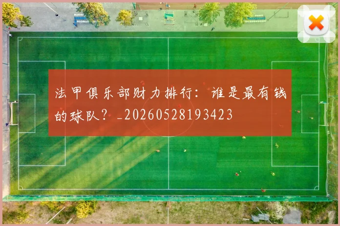 法甲俱乐部财力排行:谁是最有钱的球队?_20260528193423
